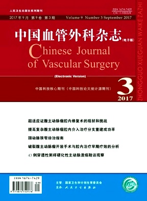 《中国血管外科》封面