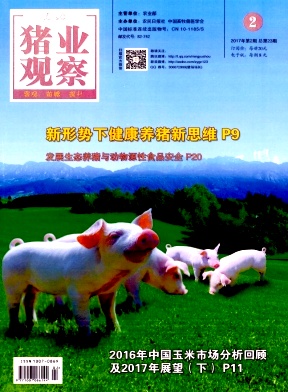 《猪业观察》封面