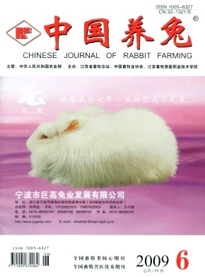 《中国养兔》封面图