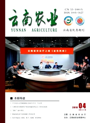《云南农业科技》封面