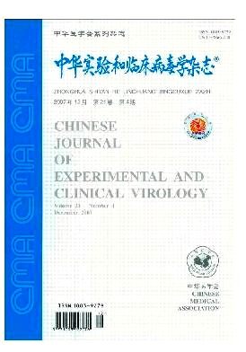 《中华实验和临床病毒学》封面