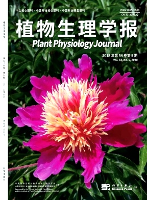 《植物生理学报》封面