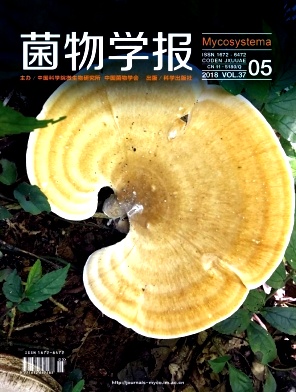 《菌物学报》封面