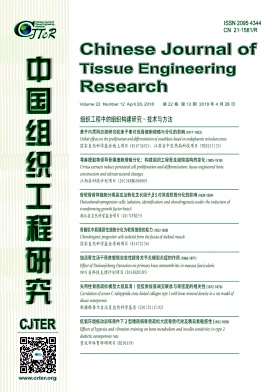 《中国修复重建外科杂志》封面