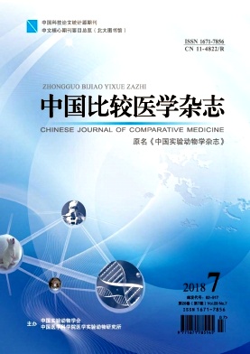 《中国比较医学》封面