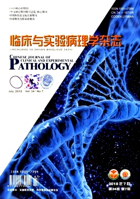 《临床与实验病理学》封面