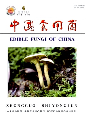 《中国食用菌》封面